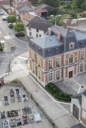 Courtisols